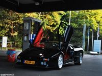 DSC_0231.JPG