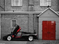 DSC_0310B.jpg